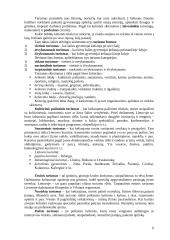 Kaimo turizmas pajūryje 6 puslapis