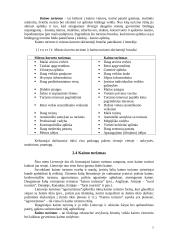 Kaimo turizmas pajūryje 7 puslapis