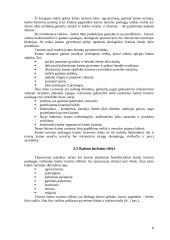 Kaimo turizmas pajūryje 8 puslapis