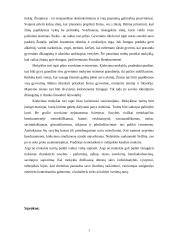 Kaip aš suvokiu idealaus mokytojo modelį 3 puslapis