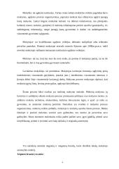 Kaip aš suvokiu idealaus mokytojo modelį 4 puslapis