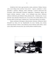 Kaišiadorių rajonas 11 puslapis