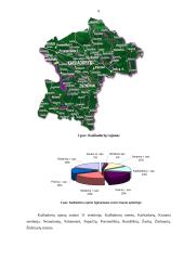 Kaišiadorių rajonas 9 puslapis