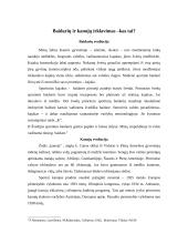 Kanojų ir baidarių irklavimas Lietuvoje 2 puslapis