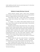 Kanojų ir baidarių irklavimas Lietuvoje 4 puslapis