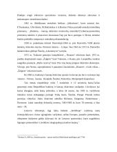 Kanojų ir baidarių irklavimas Lietuvoje 8 puslapis