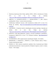 Karjeros sąlygos Lietuvoje 13 puslapis