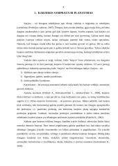 Karjeros sąlygos Lietuvoje 4 puslapis