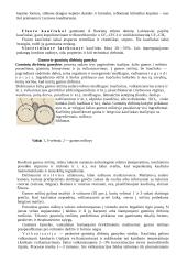 Natūralus kaučiukas  5 puslapis