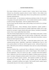 Kava, jos ypatybės, istorija 10 puslapis