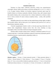 Kiaušinių maistinė vertė. Jų vartojimas iš užkrėstų ūkių 3 puslapis
