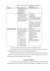 Kiaušinių maistinė vertė. Jų vartojimas iš užkrėstų ūkių 6 puslapis