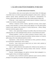 Klasės auklėtojas 3 puslapis