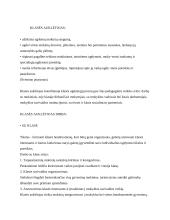 Klasės auklėtojas 4 puslapis