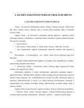 Klasės auklėtojas 7 puslapis