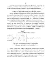 Klasės auklėtojas ir auklėtinio šeima 11 puslapis
