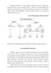 Klasikinis ir demokratinis elitizmas: skirtumai ir panašumai 5 puslapis