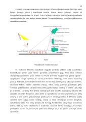 Kompiuterių periferija. Klaviatūra 10 puslapis