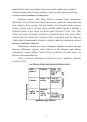 Klientų logistinio aptarnavimo vertinimas 5 puslapis