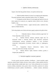 Klimatiniai veiksniai augalų augimo sezonui 2 puslapis