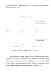 Kliūtys, trukdančios įgyvendinti visuotinę kokybės vadybą įmonėje 10 puslapis