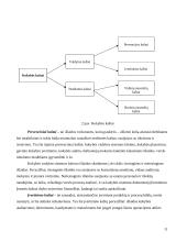 Kokybės kaštai 8 puslapis