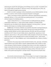 Kokybės kaštai 3 puslapis