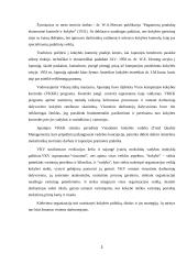 Kokybės svarba kultūrinėje organizacijoje 4 puslapis