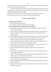 Kokybės vadybos sistemos analizė 12 puslapis