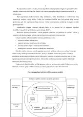 Kokybės vadybos sistemos analizė 5 puslapis