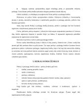 Kokybės vadybos pagrindai 7 puslapis