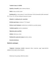 Kokybės vadybos esamos padėties tyrimas UAB "Mikotel" 18 puslapis