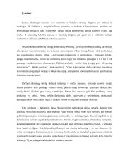 Kokybės vadybos esamos padėties tyrimas UAB "Mikotel" 3 puslapis