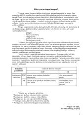 Koks yra turtingas žmogus? 2 puslapis