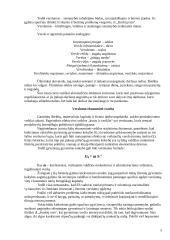 Koks yra turtingas žmogus? 5 puslapis