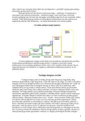 Koks yra turtingas žmogus? 6 puslapis
