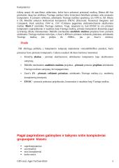 Kompiuteriai ir jų tipai 5 puslapis