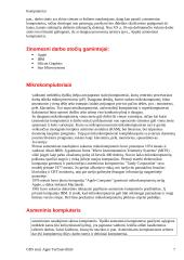 Kompiuteriai ir jų tipai 7 puslapis