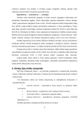 Kompiuteriniai tinklai: rūšys, topologija, privalumai ir trūkumai 3 puslapis