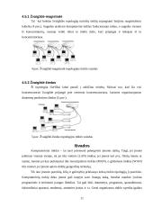 Kompiuteriniai tinklai: rūšys, topologija, privalumai ir trūkumai 10 puslapis