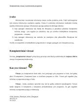 Kompiuteriniai virusai ir antivirusinės programos 3 puslapis