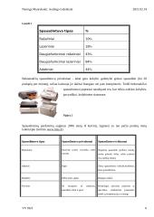 Kompiuterių įvesties bei išvesties įrenginiai 6 puslapis