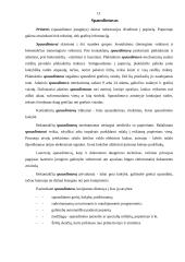 Kompiuterinė sistema ir kompiuterio sandara 12 puslapis