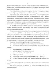 Kompiuterinė sistema ir kompiuterio sandara 7 puslapis