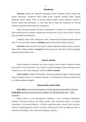 Kompiuterinė sistema ir kompiuterio sandara 10 puslapis