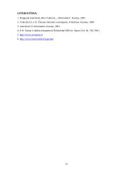 Kompiuterio vieta šiuolaikiniame gyvenime 12 puslapis