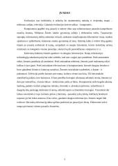 Kompiuterio vieta šiuolaikiniame gyvenime 2 puslapis