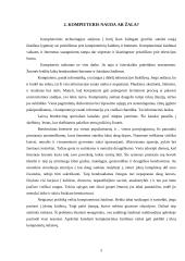 Kompiuterio vieta šiuolaikiniame gyvenime 4 puslapis