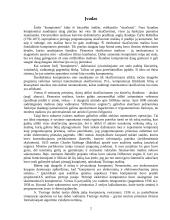 Kompiuterio istorija, sandara 2 puslapis