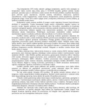 Kompiuterio istorija, sandara 17 puslapis